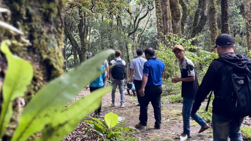 Tour 2N1Đ Trải nghiệm Sâm Ngọc Linh - Tu Mơ Rông  (8)
